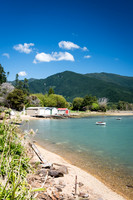 Grove Arm -2