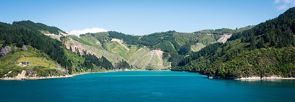 Queen Charlotte Sound -6