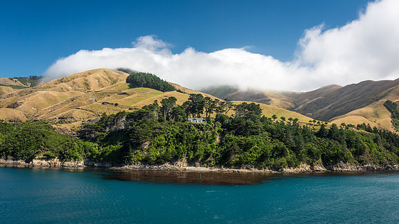 Queen Charlotte Sound -3