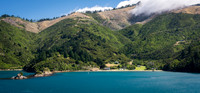 Queen Charlotte Sound -5