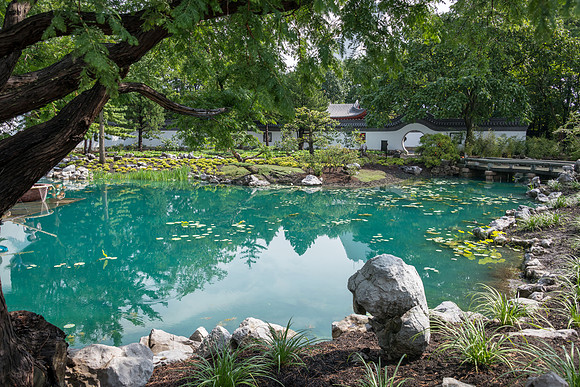 Botanical Gardens - Chinese Garden -2