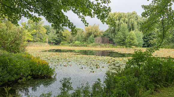 Botanical Gardens -1