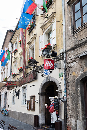 Sokol