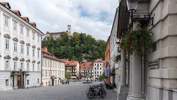 Novi Trg Square and Castle