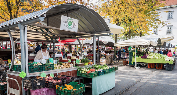 Market Stall