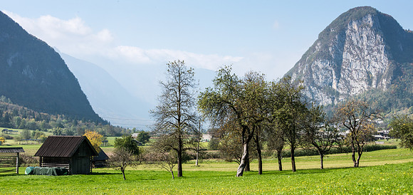 Mountain View -4