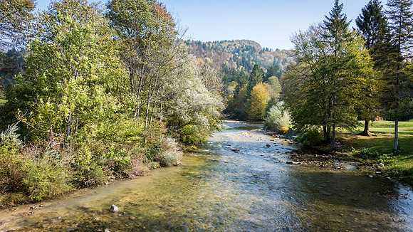 River Bohinjka