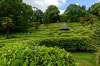 Glendurgan Gardens -3