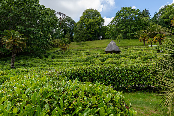 Glendurgan Gardens -3