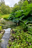 Glendurgan Gardens -1