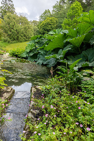 Glendurgan Gardens -1