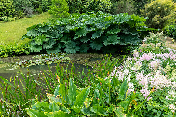Glendurgan Gardens -2