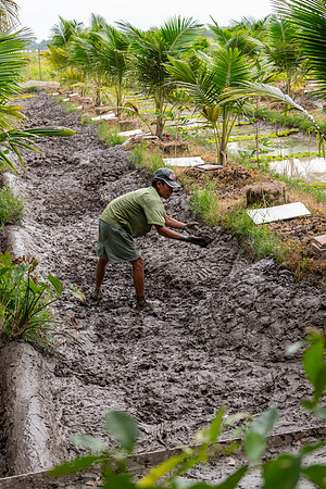 Snail Farming -1