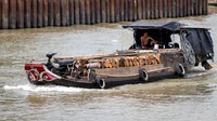 Mekong Barge -3