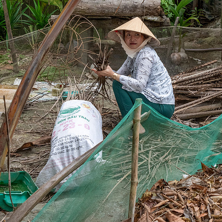 Collecting Wood