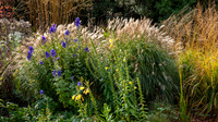 Knoll Gardens -9