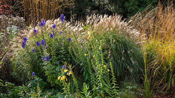 Knoll Gardens -9