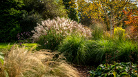 Knoll Gardens -8
