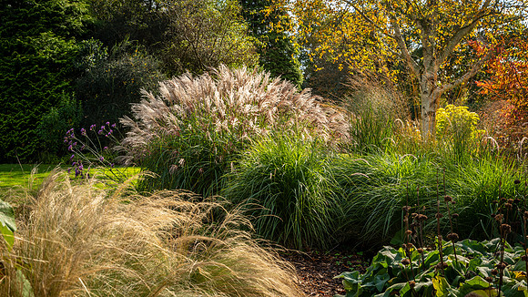Knoll Gardens -8