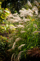 Knoll Gardens -2