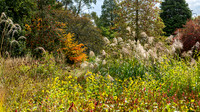 Knoll Gardens -5