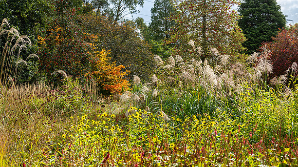 Knoll Gardens -5