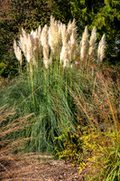 Knoll Gardens -10