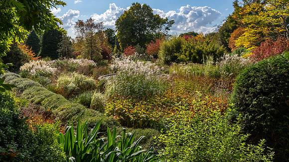 Knoll Gardens -16