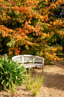 Knoll Gardens -7