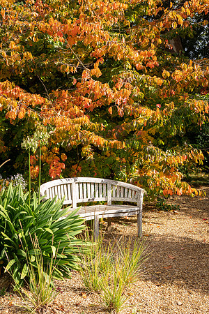 Knoll Gardens -7