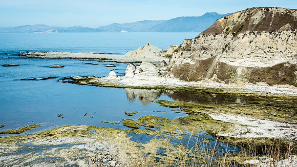 Kaikoura Peninsular -4