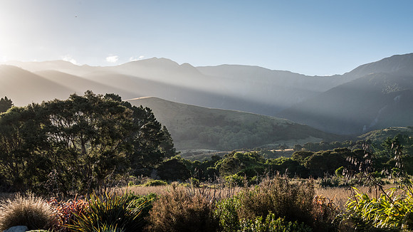 Evening Light -1