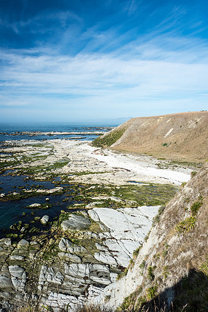 Kaikoura Peninsular -1