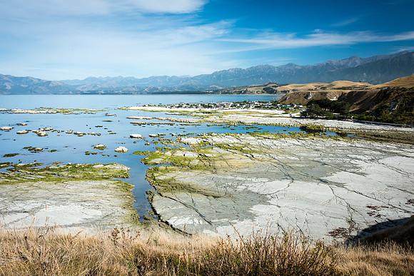 Kaikoura Peninsular -6