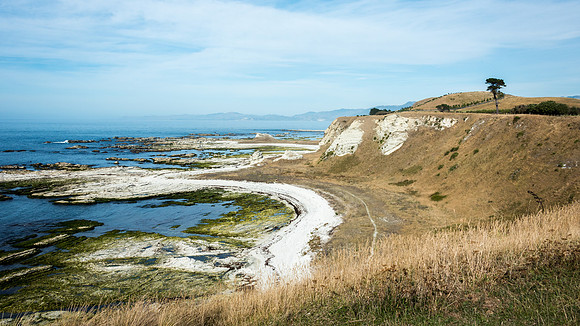 Kaikoura Peninsular -3