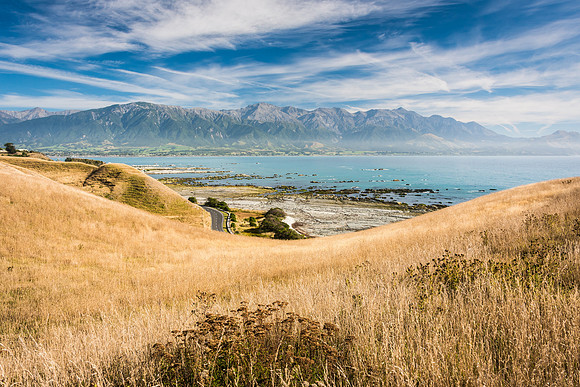 Kaikoura Peninsular -2