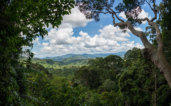 Kinabalu NP -2