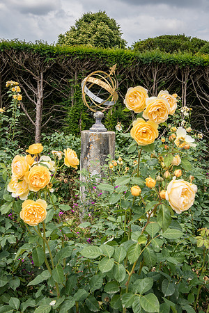 Kingston Lacy -5