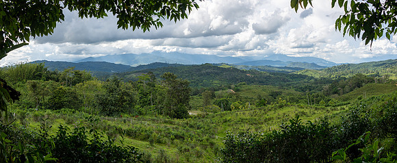 Kinabalu NP -3