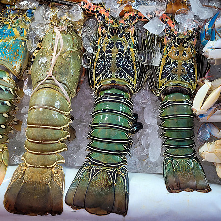 Seafood Market -6