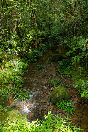 Kinabalu NP -1