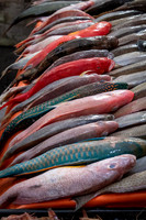 Seafood Market -1