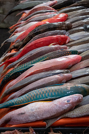 Seafood Market -1