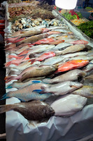Seafood Market -5