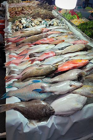Seafood Market -5