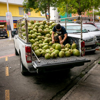 Coconut Delivery