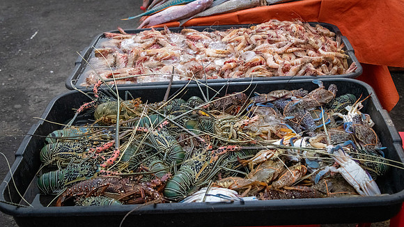 Seafood Market -2