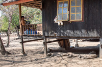 Komodo Dragons Sleeping in Shade Under Building