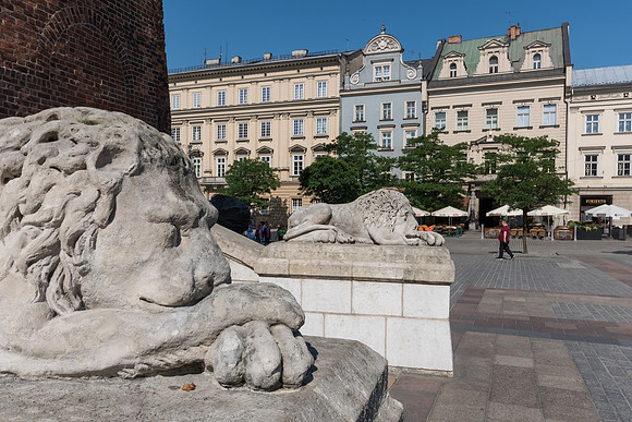 Krakow Old Town -16