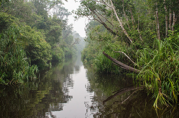River View -2